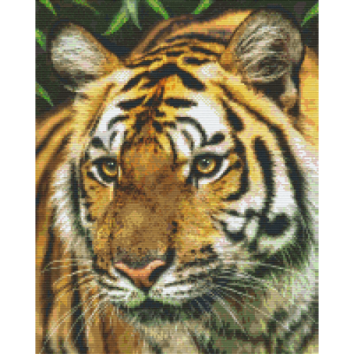 Tiger 816183